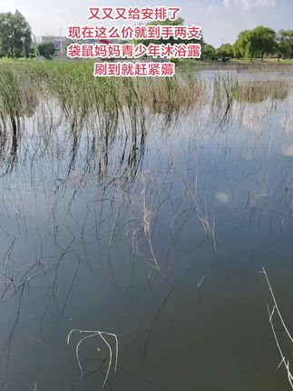#好物推荐🔥袋鼠妈妈专为青少年设计的沐浴露,果香味好闻,孩子爱用赶紧试试吧#生活必备
