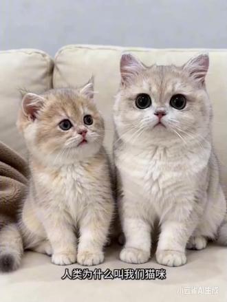 为什么叫人类,活着挺累?#由小云雀seedance2.0制作 #小云雀AI #小云雀爆款马上成片 #小云雀seedance#芯有云雀创作飞跃