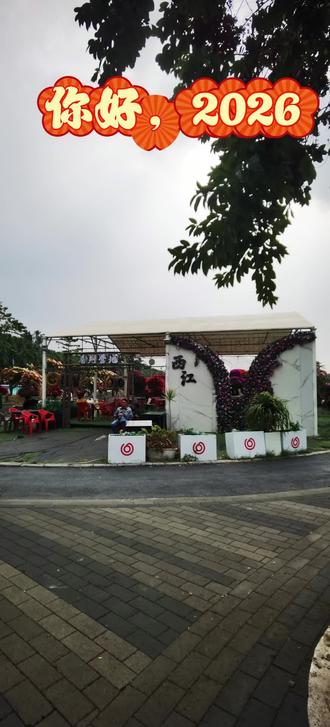 时间仿佛摁下了快进键,元旦假那么快就要结束了。
我只是逛了一下向往已久的西江花海,顺道买了几棵三角梅和鸡蛋果而已。想着让园子多些颜色,实现瓜果自由。抽空生了炭火,知己好友畅聚,暖意顺着烟火漫开。日子过得忙而充实,时间像个温柔的贼,偷走闲暇,却留下这些闪光的碎片。
假期就要结束了,那就带着一身烟火气、花草香,继续前行。或许下一个路口,还有新的惊喜。#乡村生活 #园艺