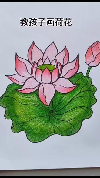 教你画荷花🪷#出淤泥而不染 #荷花池塘美景绘画