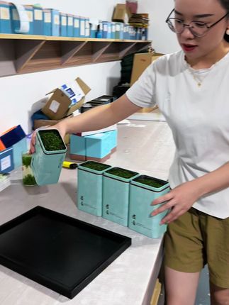 #茶叶 #绿茶 #雀舌 #爱喝茶的关注我 #茶生活 @DOU+小助手