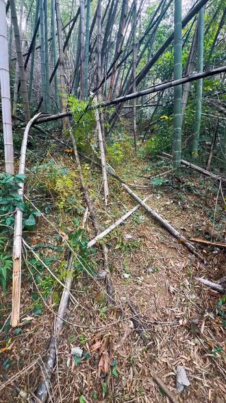 #上热门 繁昌红花尖爬了,不错的路线 #神秘园 #鳌太线 各位出考题了,陈某放和小牟、老吴是什么关系?丢了几块压缩饼干?谁丢的谁拿的谁吃了?#提问 大家还有什么问题要问,来这里解答,现在的我强的可怕🧐