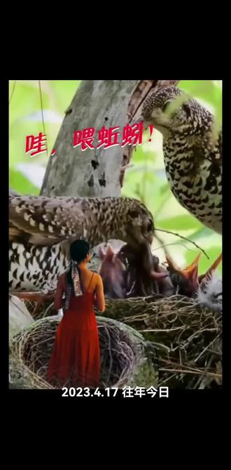 《缅甸琥珀-虫珀》白垩纪时期的“蚯蚓”
#缅甸琥珀 #昆虫科普 #显微镜
@DOU+上热门 @抖音小助手 @DOU+小助手 @抖音创作者大会 @抖音创作灵感 @DOU来好歌会