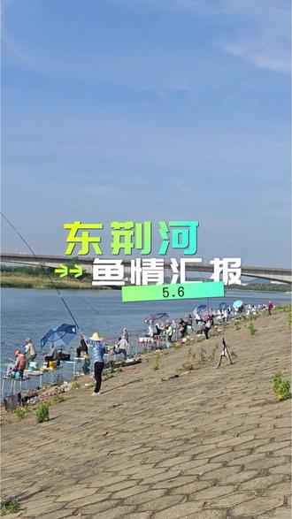 东荆河的鱼还是认识我的哈#钓鱼佬聚集地 #钓鱼社区 #钓鱼人的聚集地