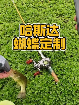 哈斯达蝴蝶定制版!很好看啊!#哈斯达蝴蝶定制版 @哈斯达官方旗舰店