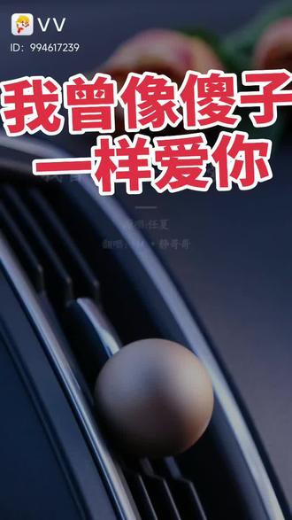 #音乐分享 我曾像傻子一样爱你 #心动的感觉 #伤感歌曲 #任夏