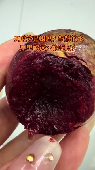 关于水果里长蛆#水果虫子