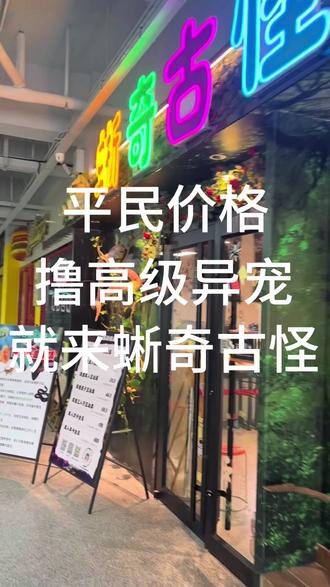 德州首家专业级200平爬宠馆#异宠