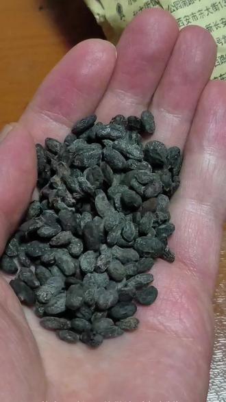 流感季葱白豆豉的制作过程