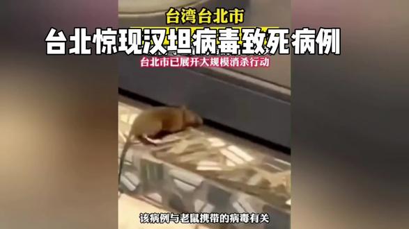 致命鼠传病毒!台北通报汉坦病毒死亡病例 致命鼠传病毒!台北通报汉坦病毒死亡病例,全城紧急消杀#台湾社会新闻 #细菌传播途径