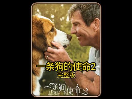 狗狗经历四世轮回将孙女带回了爷爷身边#一条狗的使命2#动物#感人#影视解说#一剪到底