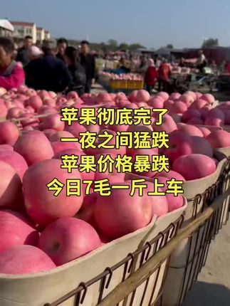 #三农苹果#今日红富士苹果批发价格行情#苹果批发#红富士苹果#苹果山东河南河北湖南湖北浙江福建广东广西四川贵州江西江苏安徽山西陕西内蒙云南新疆甘肃青海新疆宁夏@抖音Dou+上热门 @DOU+上热门