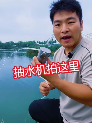 #钓鱼 #乡村生活 #出来走走放松一下心情 #农村生活记录