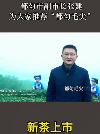 #都匀毛尖#都匀毛尖十大名茶之一 都匀毛尖,是贵州三大名茶之一,也是中国十大名茶之一。成品茶,条索紧结,纤细卷曲、披毫,色翠。香高,味浓,叶底嫩绿,匀整明亮。贵州省都匀市人民政府副市长:张建,邀您品鉴“贵州名优绿茶--都匀毛尖”。茶汤明亮清澈🍵,香气持久,滋味浓醇,回甘生津,值得品尝。#都匀毛尖冲泡方法#助力家乡农产品#助力黔茶出山