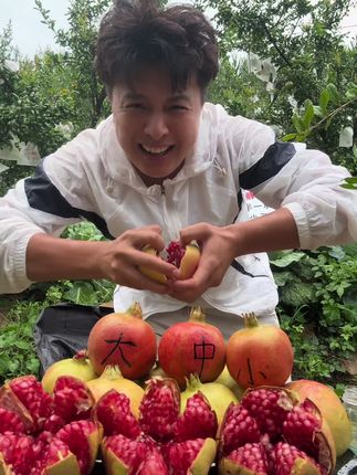 下大雨了想吃的下方小黄车自己拍吧#会里软籽石榴