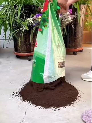 #养花专用土壤 #阳台小院盆栽均可种植 #养花种菜通用