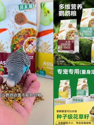 饲五居鹦鹉食粮专用鸟粮花草籽种子鸟食小颗粒饲料粮虎皮鹦鹉鸟粮#鸟粮