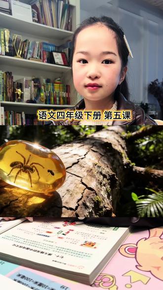 四年级语文下册 第五课 《琥珀》,课内重点知识问答及近义词反义词。评论区有客户笔记,我们一起学习吧!#语文 #语文学习 #语文书 #课后笔记 #小学生