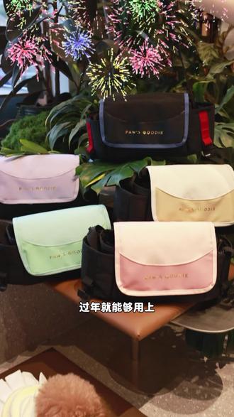 多功能宠物推车包,又升级啦❗是宠物推车挂包,也是遛狗包,更是车载收纳包~#遛狗包 #宠物出行包 #带狗回家过年 #宠物出行不再是难题 #爪爪古蒂