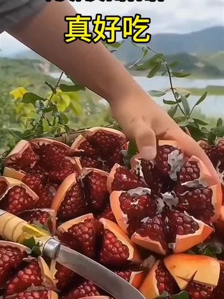 哇塞,酸中带甜,甜中带点酸,满口爆汁,果肉饱满#应季水果 #快来一起尝个鲜 #抖音助农 #强烈推荐