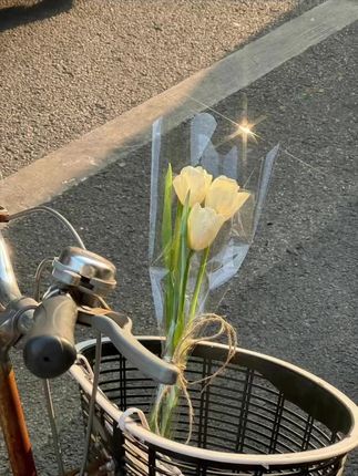 眼镜舒适鼻梁卫生间防脱妆防滑神器减震回弹椭圆肤色无痕硅胶垫#眼镜防滑圈#眼镜硅胶垫#眼镜防滑贴