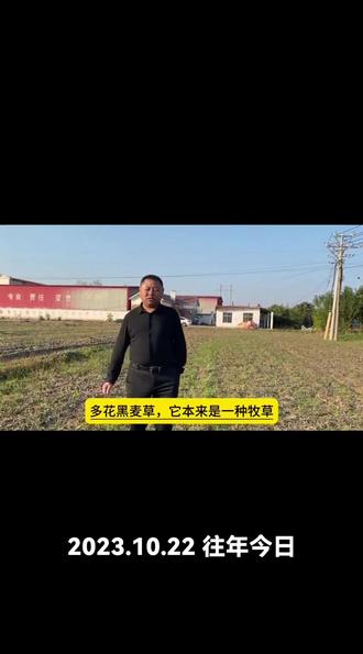 打多花黑麦草,封趣一遍就好