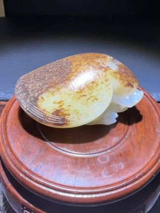 #新疆和田玉籽料 #籽料龙龟