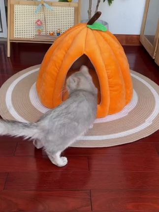 四季加厚保暖封闭式南瓜猫窝猫狗通用可拆洗四季适用