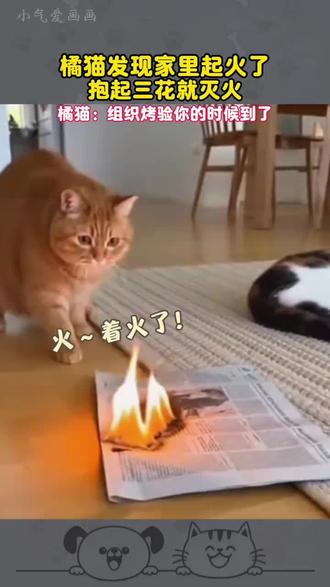 #热点宝 明天过年了,转发过来,大家乐一乐!#治愈系宠物