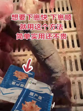 #自繁自养 #养猪人加油干 #养猪人不容易 #养猪人 #农村养猪
