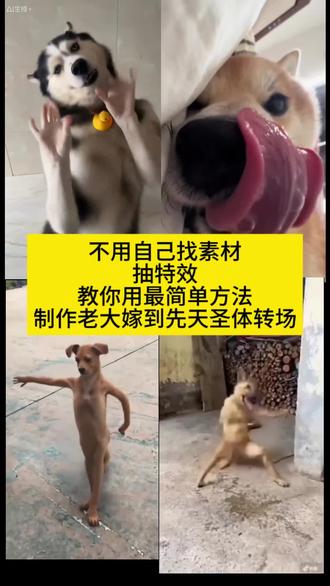 先天圣体小狗转场特效教程来了,不用自己找素材,也不用抽特效,自己随意拍一段视频就行,#狗狗侧躺伸舌头素材先天小狗圣体 先天小狗圣体老大驾到后面素材 先天小狗圣体老大驾到素材无水印 先天小狗圣体特效在哪里 先天小狗圣体抽象视频 先天小狗圣体老大驾到素材小狗跳舞 先天小狗圣体转场 先天小狗圣体老大驾到怎么剪辑 先天小狗圣体转场素材自取 先天小狗圣体特效素材 #先天小狗圣体特效拍同款怎么剪 先天小狗圣体老大驾到特效拍同款 先天圣体特效拍同款入口小狗 #先天圣体特效教程 先天圣体特效拍同款入口 先天小狗圣体特效拍同款 你是什么先天圣体特效 小狗圣体特效拍同款 先天圣体变装秀特效拍同款 你是什么先天圣体特效拍同款入口 #剪映#你是什么先天圣体