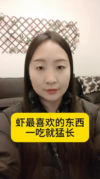 虾最喜欢的东西,一吃就猛长#水产养殖技术#渔农肥