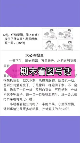 大公鸡捉虫子#二年级看图写话 #二年级 #二年级语文 #二年级上册语文 #二年级