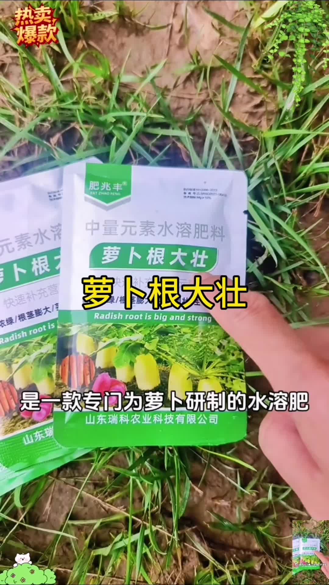萝卜根大壮【萝卜专用】壮苗生根膨大根茎提质增产萝水溶肥叶面肥