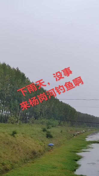 下雨天,没事!来杨岗河钓鱼啊!#治愈系风景 #原创视频 #乡村风景