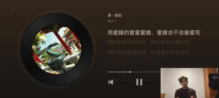 抽象佳作(唐.毒蛇 )#抽象 #说唱