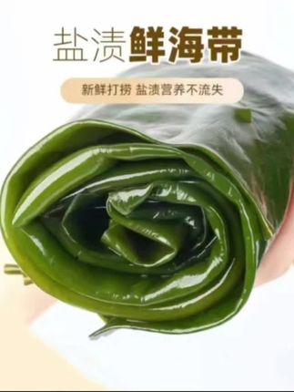 #大连特产新鲜盐渍海带 5斤/箱(含箱5斤)#营养产品老少皆宜 #食用脆爽 #海带