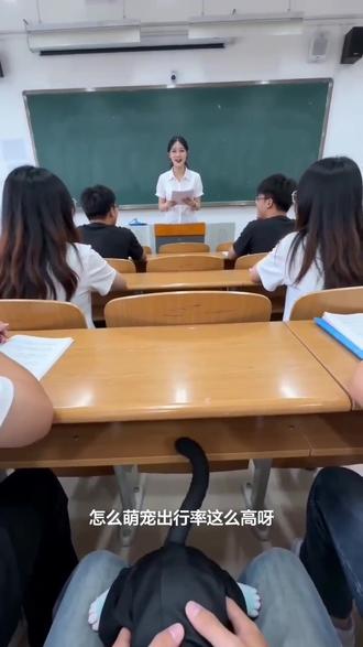 #AI教室应答记 #随变ai随便玩 ,时透无一郎小猫,可爱捏。#鬼灭之刃