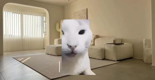 #猫meme 哈喽大家,我是新来的猫meme博主,做的不好的大家可以发在评论区,我会看的,每个评论我也都会回复,感谢大家的支持 ! ❤️