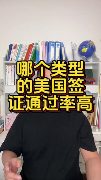 哪个类型的美国签证通过率高#美签 #美国签证