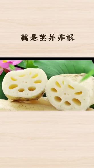 #植物学冷知识#根茎大揭秘#水生植物奥秘#科学辟谣挑战#自然科普一分钟 莲藕是茎不是根?揭开“藉”(茭白)的植物学真相!3分钟带你认清根状茎的
独特结构,看通气孔道、节间分芽如何颠覆认知,破解“藕断丝连”的科学秘密,告别根茎混淆!
科普无限、创意有限!请在评论区分享转发点👍
声明:视频内容源于网络!