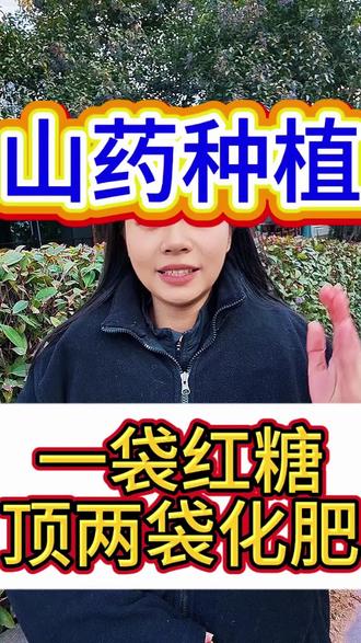 一袋红糖顶两袋化肥#三农 #新农人计划 #山药#铁棍山药#山药种植