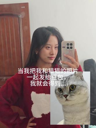 豆包老师还是太全面了!#宠物日常#养猫人的快乐