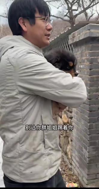 胖宝宝与胖之夫——胖夫夫第一次见面(骏优取名依旧👍🏻)
什么!胖姐虽然你很可爱,但是可不能家暴夫夫啊。
胖姐:这小玩意,好玩呀
夫夫:泥药嘎嘛汪 离本獒远点汪汪
(不是豆豆见女婿不整理一下仪容仪表吗)
宝叔:揍嘛呀,这谁呀。
骏优总结《一批一批的养》#骏良的狗 #豆豆胖宝宝 #胖夫夫