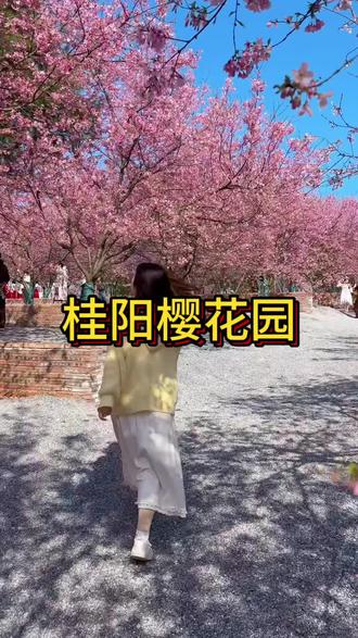 桂阳樱花园实拍,真的太美了‼️#樱花园#樱花季#一起去寻找春天的美 #用镜头定格春日的美景 #同城好店推荐