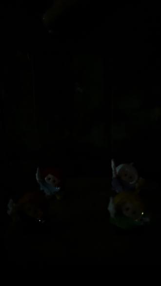 yoyo酱也要过新年放烟花🎆#仙女棒烟花