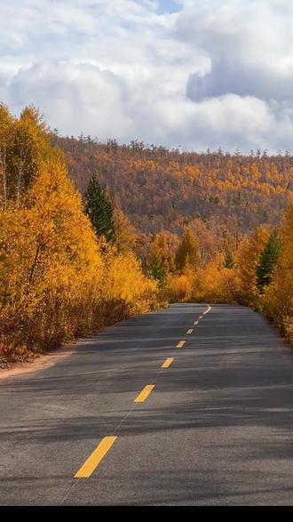 大兴安岭的秋天,是一幅幅画#大兴安岭秋天