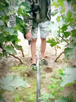 这款施肥载苗神器,它价格低,效率高,是农民朋友的好帮手!#施肥载苗神器#好物推荐@芮磊