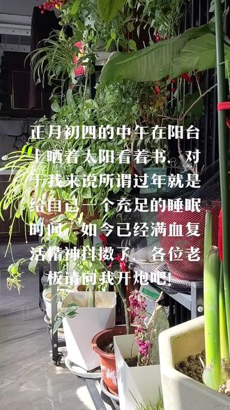 初一睡觉初二睡觉初三继续睡觉,这几天太舒服了