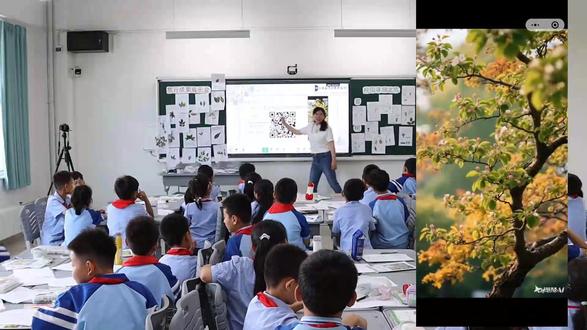 最新!!冀人版科学三下《校园寻绿之旅》【新课标优质课】河北省示范课一等奖优质课【小学科学优质课】(2025)